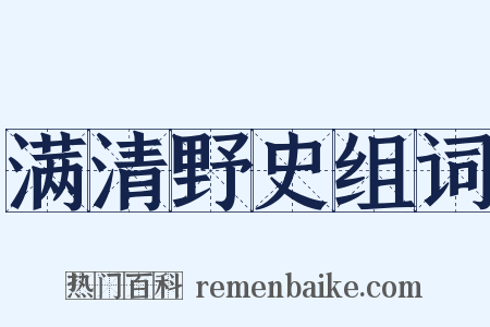 满清野史组词是什么意思的图片